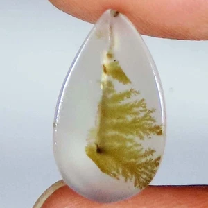 3.70 CT Natural Scenic Dendritic Agate Cabochon Top Gemstone 9x16x2 mm GIA_77 - Picture 1 of 7
