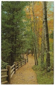 Postal de colección - Copper Falls State Park, Mellen, WI - Imagen 1 de 2