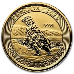 Canada 5 $ 2020 Polar Bear 1/10 oz or 9999 avec film d'origine - Photo 1/6