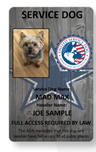 Cowboys Service Dog/Emotional support/Therapy Dog ID card  - Picture 1 of 1