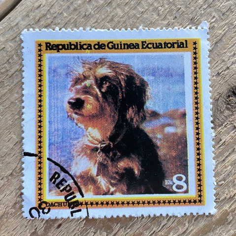 REPUBLIC OF GUINEA ECUATORIAL USED STAMP 1978 DOG TERRIER Cover