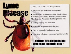 Postcard-Lyme Disease Facts - Picture 1 of 2