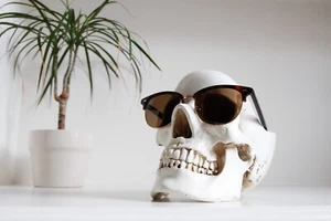 Skull Ornament/Organiser - Picture 1 of 14