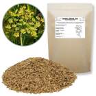 Horse Straights Direct | Fennel Seeds 1 Kg | Natural Equine Feed Supplement