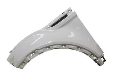 Panel de guardabarros delantero izquierdo del lado del conductor 12-19 LR Range Rover Evoque L538 OEM Foto 1 de 4