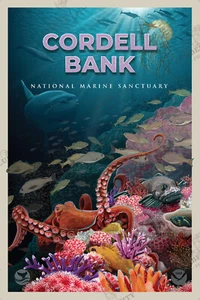 Póster Coredell Bank National Marine Sanctuary System NOAA impresiones oceánicas - Imagen 1 de 4