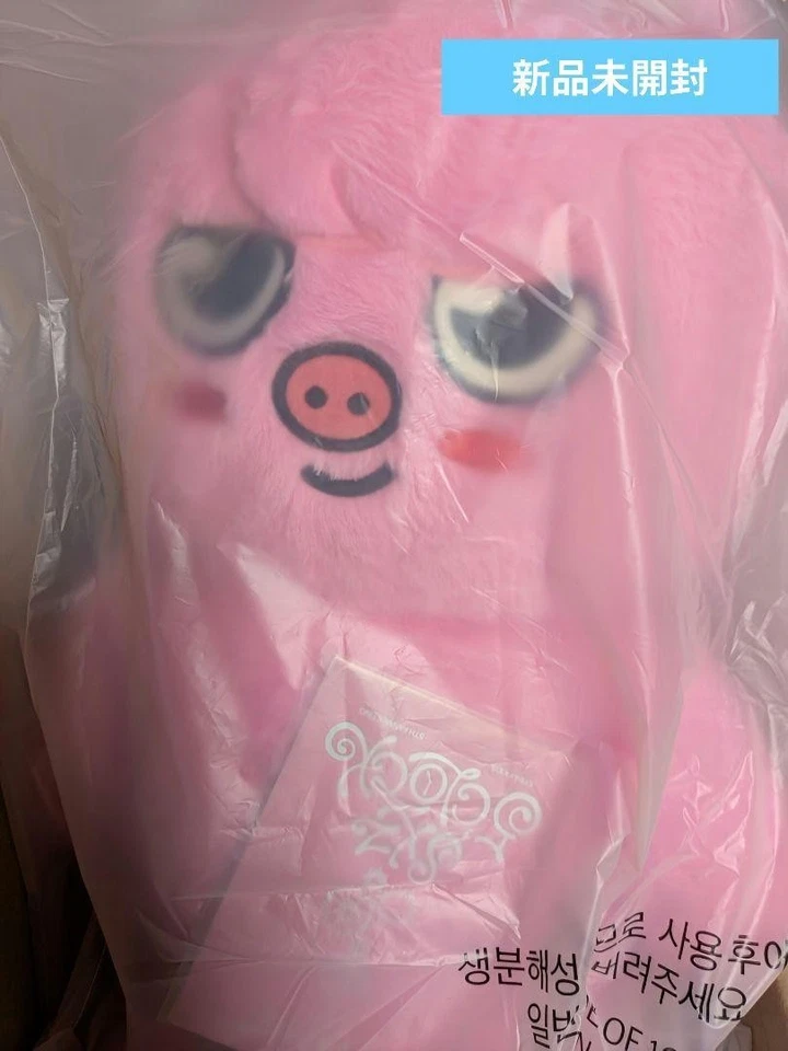 Stray Kids Skzoo DWAEKKI Plush Doll Teddy Ver 60cm W/Passport Card Set Changbin.