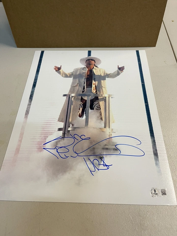 FOTO FIRMADA AUTOGRAFIADA 11X14 WWE WWF SHAWN MICHAELS HBK entrada Beckett Foto 1 de 1