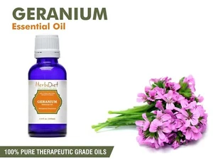 Natural Geranium Essential Oil 100% Pure Aromatherapy Oils Therapeutic Grade - Picture 1 of 3