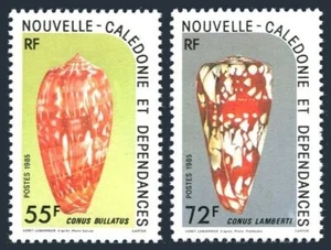 New Caledonia 521-522, MNH. Mi 757-758. Shells 1985. Conus bullatus, lamberti. - Picture 1 of 1