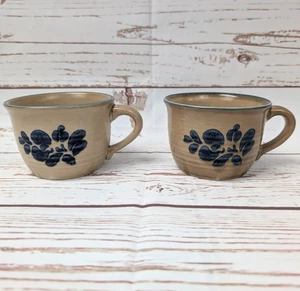 Set 2 tazze Pfaltzgraff arte popolare blu floreale gres vintage Cottagecore 001 - Foto 1 di 13