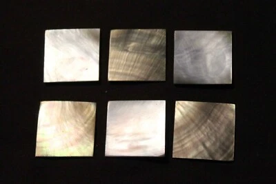 6 X Blacklip Pearl oyster pieces - Image 1 of 2