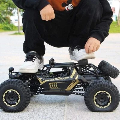 RC Allrad Rock Crawler PANTHER 50cm Ferngesteuertes Auto Monster Truck Car XXL - Bild 1 von 4
