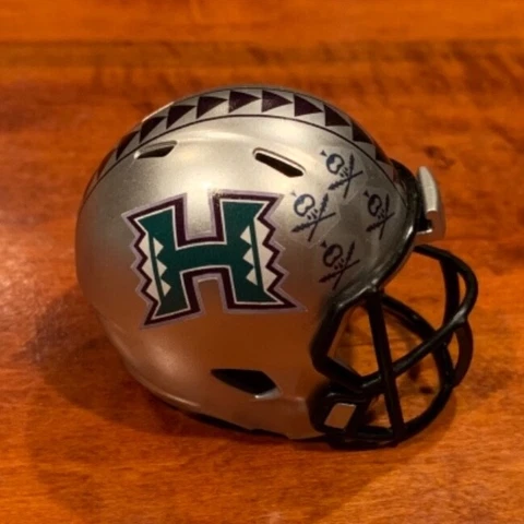 Hawaii Rainbow Warriors silver (award decals) custom pocket pro helmet Cover