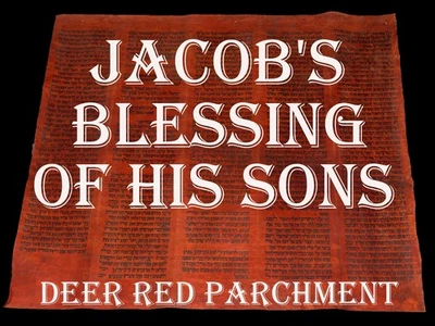 ROLLO DE TORÁ BIBLIA VITELA MANUSCRITO FRAGMENTO 250- AÑOS YEMEN Génesis 46:26-50:26 Foto 1 de 4