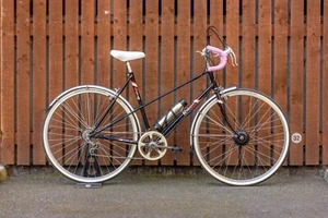 Raleigh Ebony 1980s E-Vintage electric classic ladies bike - Picture 1 of 12