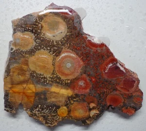 WRG- Galaxy Riolita Losa 54 gramos México Ágata Lapidaria Jaspe Riolita - Imagen 1 de 4