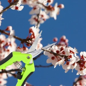 4-Pack Curved Blade Gardening Trimming Scissors Pruner Shear Plant Trimmers - Picture 1 of 7