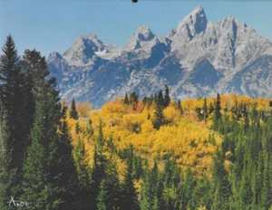 Foto enmarcada calendario Grand Teton 8,5X11 "Aspen Turn to Gold" octubre 2016 - Imagen 1 de 5