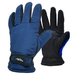 Men Winter Thermal Warm Waterproof Skiing Driving Work Insulated Gloves Mittens  - Picture 1 of 12