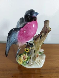 COLLECTORS ROYAL ADDERLEY BULLFINCH PERCHED ON TREE - Picture 1 of 6