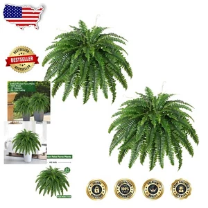 Outdoor & Indoor 42-Inch Artificial Ferns - Maintenance-Free Elegance, Set of 2 - Picture 1 of 9