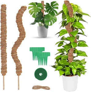 2 Pezzi Bastone Di Muschio, 64 Cm Palo Cocco Piante Sostegno Piante Supporti per - Foto 1 di 12