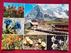 JOHN'S DEALS - SCHWEIZ - ALTE MEHRANSICHTSKARTE KLEINE SCHEIDEGG - Bild 1 von 2