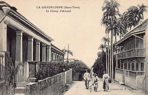 Guadeloupe - BASSE-TERRE - Le Champ d'Arbaud - Ed. F. Petit - Picture 1 of 2