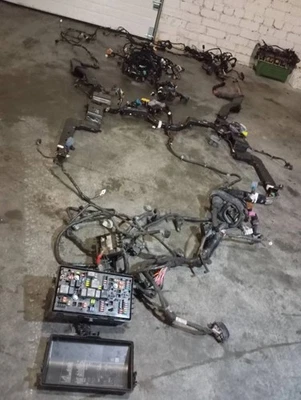 Cadillac SRX 2010 motor gasolina instalación cableado telar 15896995 ANY20649 Foto 1 de 4