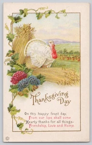 Postcard Thanksgiving Turkey Poem Embossed Stecher Pub Series 37c - Picture 1 of 3