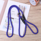 Adjustable Nylon Pet Leash For Training And Outdoor Activities