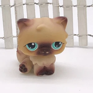 Littlest Pet Shop LPS Persian Cat #22 Hasbro Bronceado Marrón Ojos Azules - Imagen 1 de 4