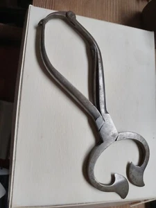 Antique SUGAR NIPPERS Scissors Tool ~ Serving Cut from SUGAR LOAF - Picture 1 of 4