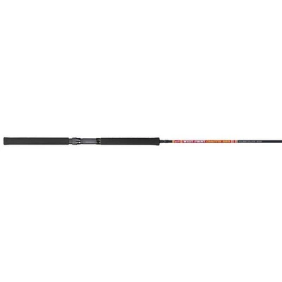 10ft 2 Piece Crappie Fishing Spinning Rod Lightweight Trolling Pole EVA Handle - Image 1 of 4
