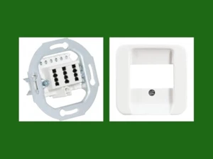 TAE Dose Telefondose 3x6 NFN UP 0243/04  + Busch Jäger TAE Abdeckung 2539-214 - Bild 1 von 4