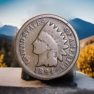1894 Indian Head Cent Penny “Best Value On EBay” Free Shipping W/Tracking - Picture 1 of 5