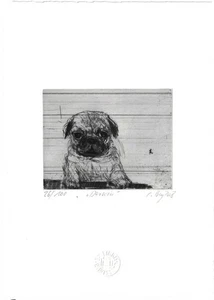 CLAUDIA BERG: Exlibris für W. Wissing, "Mops Darwin" - Bild 1 von 1