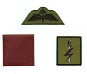 SPECIAL FORCES SUPPORT GROUP SFSG 1 PARA Badge Set - Picture 1 of 1