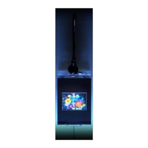 FLOWERS Hologram Picture LIGHTED WALL MOUNT, 3D Embossed Animated Stereogram - Imagen 1 de 7