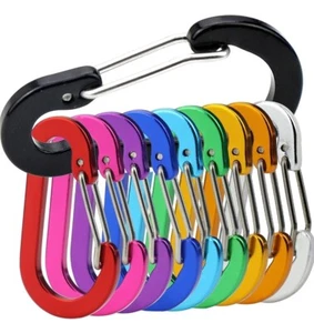 Mini Carabiner Clip Aluminum Lightweight D-Shape Spring Keychain Outdoor 10 Pack - Picture 1 of 2
