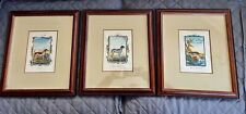 3 Copperplate Engravings Hound Dalmation Otter  Species Andrew Bell 1726-1809