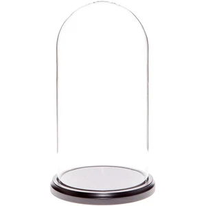 Plymor 5.5" x 11" Glass Display Dome Cloche (Black MDF Wood Base) - Picture 1 of 1