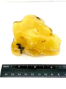 Natural Butterscotch Baltic Amber Specimen - Very Large 118.45g - Picture 1 of 2