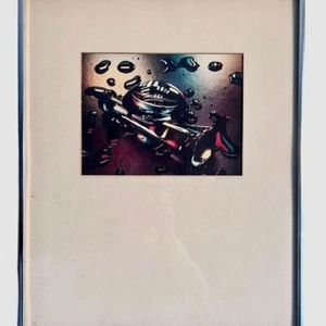 Framed Post Modern Alex Pietersen Limited Ed Photography 2/150 “Pestled Colors" - Picture 1 of 6