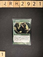 Tarmogoyf - Future Sight - Magic the Gathering MTG CHINESE S-CHN 2 avlb., SP/SP-