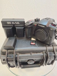 Cámara sin espejo Panasonic Lumix GH5S - Imagen 1 de 10