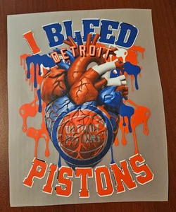Detroit Pistons Colorful 8" DTF Heat Transfer Iron On FREE Shipping!!! (C4/1) - Picture 1 of 1