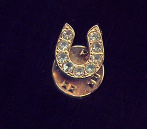 LUCKY HORSESHOE BEAUTIFUL BEJEWELED LAPEL PIIN (3M534) - Picture 1 of 1