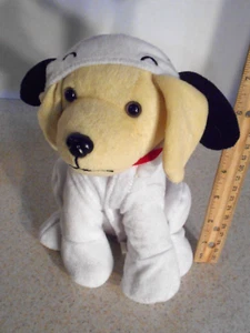 Cacahuetes coleccionables Raising Canes Snoopy Peanuts 2021 felpa cachorro perro - Imagen 1 de 8